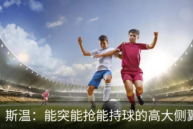斯温：能突能抢能持球的高大侧翼 或是首轮末捡漏最佳选择？
